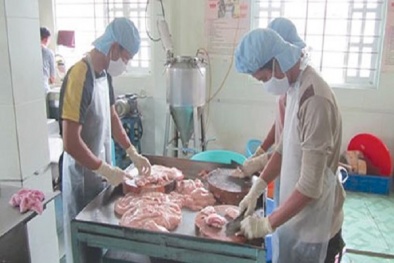 Điều kiện bảo đảm an toàn 13Win OKVIP Cá cược bóng đá đối với cơ sở sản xuất 13Win OKVIP Cá cược bóng đá tươi sống