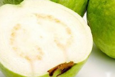 Ăn vài trái ổi trong mùa sẽ không cần gặp bác sĩ