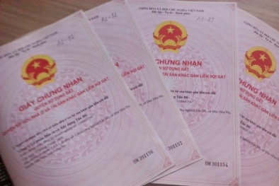 Thủ tục, chi phí chuyển nhượng sang tên sổ hồng như thế nào? 