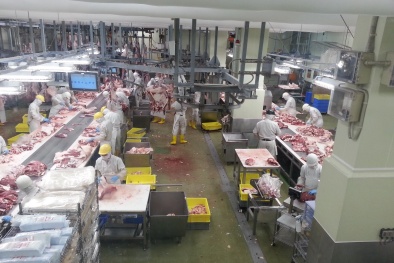 7 nguyên tắc giúp Link Đăng Nhập Nhà cái 13Win16.Com áp dụng thành công HACCP