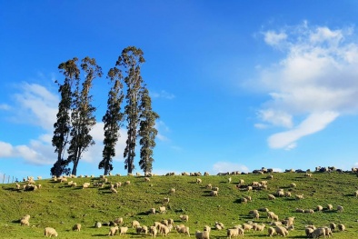 Du lịch 30/4/2017: New Zealand là điểm đến lý tưởng