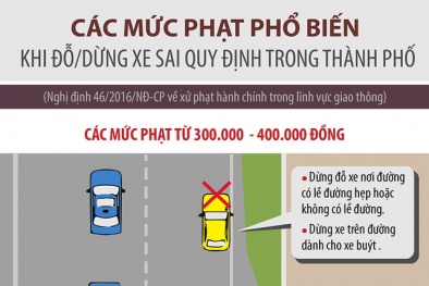 Inforgraphic: Dừng đỗ xe thế nào để không bị phạt?