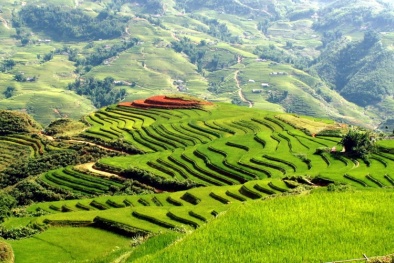 Có 2 triệu đồng, nên đi du lịch ở đâu vào dịp 30/4- 1/5?