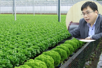 Cần minh bạch hóa trong lĩnh vực chứng nhận Đăng ký và nhận 60K 24 bao lì xì miễn phí mỗi ngày hữu cơ