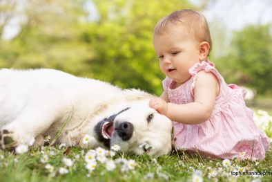 12 con giáp tuần mới: Tuổi Tý gặp được quý nhân, tuổi Thân dễ bị mất của