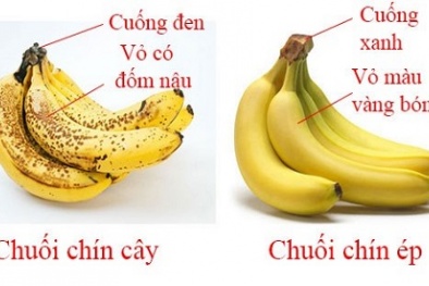 Tuyệt chiêu phân biệt quả chín cây và chín ép bằng mắt thường