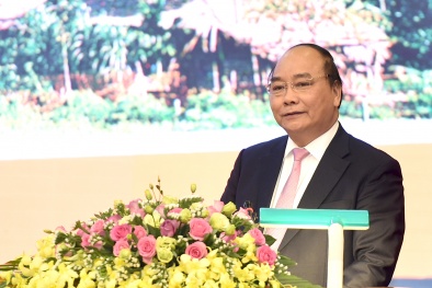 Thủ tướng: Năng suất 13Win18 cá cược thể thao nhìn chung còn thấp so với thế giới