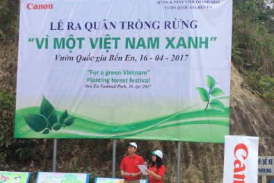 Trồng hàng nghìn cây lim xanh tại Vườn quốc gia Bến En