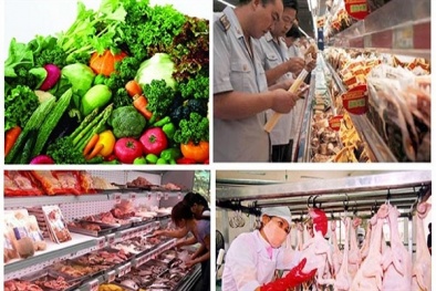 Chính sách của Nhà nước về an toàn 13Win OKVIP Cá cược bóng đá