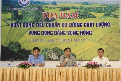 Thúc đẩy hoạt động TCĐLCL vùng Đồng bằng sông Hồng