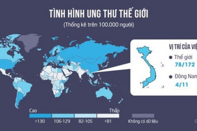 PGS- TS Trần Văn Thuấn nhấn mạnh nguyên nhân hàng đầu gây ung thư