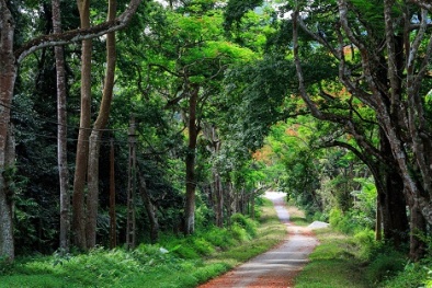 Chỉ có 1 triệu đồng, bạn nên đi du lịch ở đâu?
