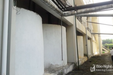 Dự án nghìn tỷ bị bỏ hoang ở Nghệ An: Phó Thủ tướng yêu cầu kiểm tra, xử lý