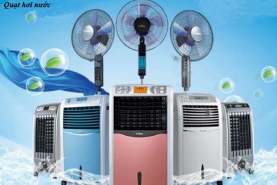 Cách chọn mua quạt hơi nước phù hợp nhất cho mọi nhà