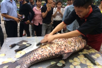 'Thủy quái' sông Mê Kông nặng ‘khủng’ giá 200 triệu về Hà Nội phục vụ đại gia