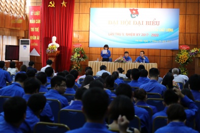 Thanh niên TC TCĐLCL phát huy sức trẻ trong công tác chuyên môn và hoạt động xã hội