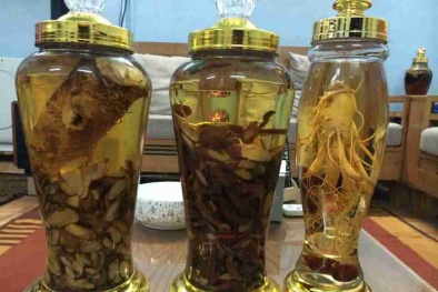 Tiêu chuẩn rượu thuốc: 'Căng mắt' tìm hàng chuẩn