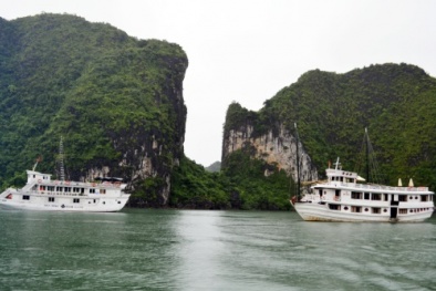 8 tàu du lịch ở Hạ Long sai phạm nghiêm trọng bị đình chỉ hoạt động