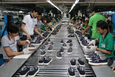 Lợi ích sau khi áp dụng thành công 5S tại Công ty TNHH giầy Tân Hợp