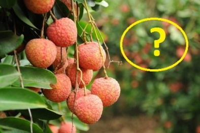 Những người này phải hạn chế ăn quả vải để đảm bảo 13Win19 ưu đãi hấp dẫn