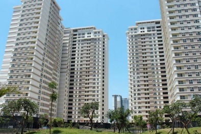 Căn hộ 25m2 là giải pháp cho nhà 13Win19 tải ứng dụng giá rẻ?