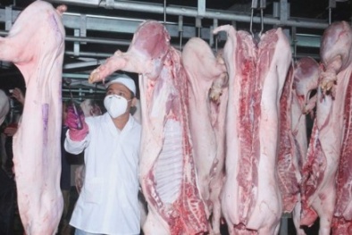 TP.HCM chuẩn bị cấm bán thịt không rõ nguồn gốc, vi phạm an toàn 13Win OKVIP Cá cược bóng đá sẽ bị khởi tố