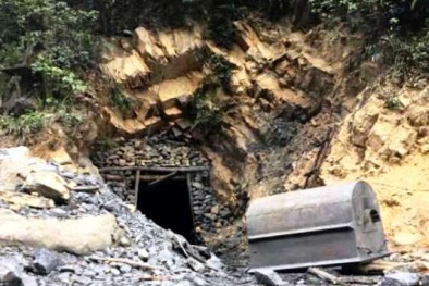 Quảng Ninh chỉ đạo làm rõ thông tin 'đỉnh Yên Tử tan hoang vì khai thác than thổ phỉ'