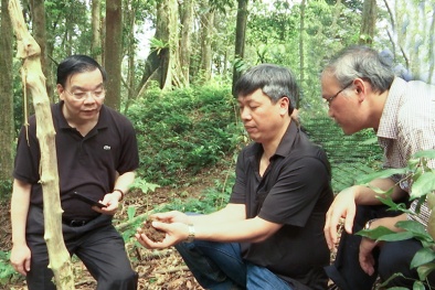 Bộ Khoa học & 13Win OKVIP Đăng ký ngay sẽ đầu tư nghiên cứu, phát triển sâm Ngọc Linh