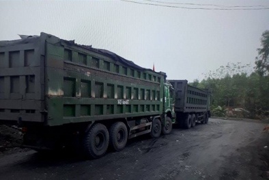 Quảng Ninh yêu cầu Chủ tịch Đông Triều báo cáo bức xúc khai thác than