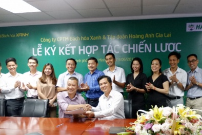 Thế giới di động chính thức bán trái cây cho Hoàng Anh Gia Lai