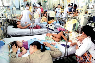 Dịch sốt xuất huyết và viêm não bùng phát trên cả nước, hàng trăm ca bệnh nguy kịch