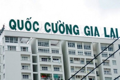 Quốc Cường Gia Lai đặt mục tiêu lãi trước thuế 720 tỷ đồng
