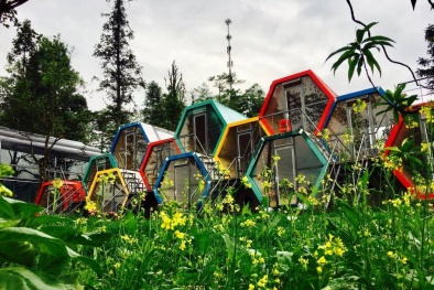 Du lịch Sapa hè này: Trải nghiệm mới toanh với homestay ống cống rực rỡ