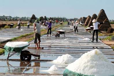 Ứng dụng khoa học và công nghệ giúp nâng cao chất lượng 'vàng trắng'