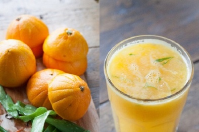 Chia sẻ cách làm sinh tố cam nha đam ngon khó cưỡng