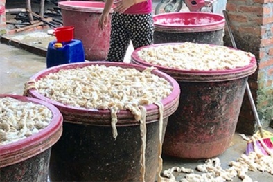 Phát hiện cơ sở sơ chế lòng lợn bốc mùi hôi thối chuẩn bị mang tiêu thụ