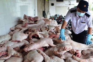 Phạt 30 cơ sở vi phạm an toàn 13Win OKVIP Cá cược bóng đá, thu 895 triệu đồng