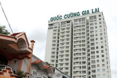 Sau Đại hội cổ đông, cổ phiếu Quốc Cường Gia Lai liên tiếp lao dốc không phanh