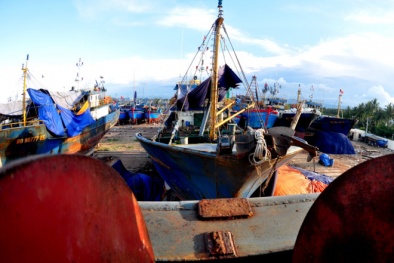 Phó Thủ tướng chỉ đạo rà soát, kiểm tra chất lượng tàu cá vỏ thép
