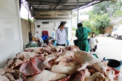 TPHCM: Ban Quản lý ATTP sẽ cấp giấy chứng nhận kiểm dịch động vật từ hôm nay
