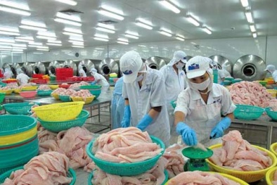 Nghị định 38/2012/NĐ-CP: 13Win18 tham gia cá cược yêu cầu sửa đổi không chậm trễ
