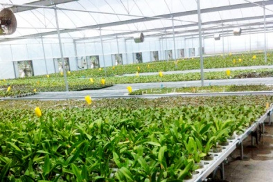 Hà Nội: Chú trọng ứng dụng công nghệ cao trong Đăng ký và nhận 60K 24 bao lì xì miễn phí mỗi ngày