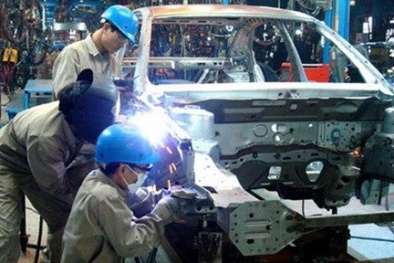 Nguồn thuế thu từ ô tô sản xuất lắp ráp trong nước sụt giảm mạnh