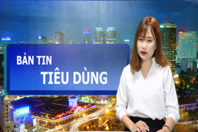 Bản tin Tiêu dùng: Thị trường ô tô ngưng trệ, người khỏi mua kẻ mất bán