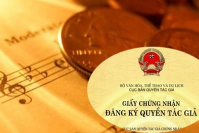 Nhà khoa học, tác giả 'trắng tay' vì khó thu phí bản quyền