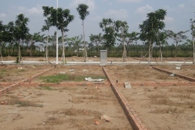 TP.HCM quy định về diện tích tối thiểu được tách thửa