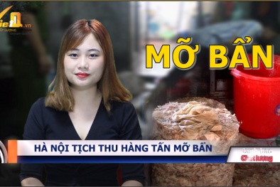 Bản tin Cảnh báo chất lượng: Nguy cơ khôn lường khi ăn quả cherry