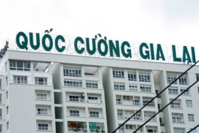 Quốc Cường Gia Lai báo lãi đột biến 213 tỷ đồng trong quý II năm 2017