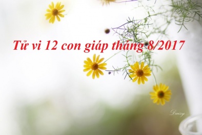 Tử vi tháng 8: Tuổi nào may mắn cả tình yêu lẫn sự nghiệp?