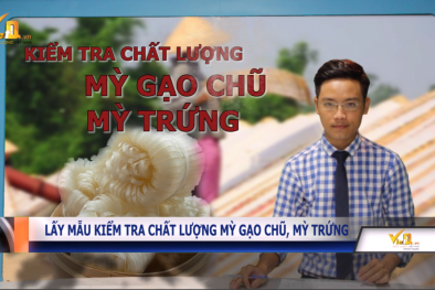Bản tin Tiêu dùng: Gas tăng giá lần thứ 3 trong năm 2017